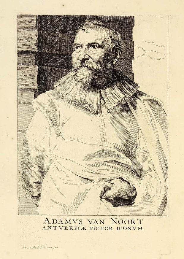 Adamus von Noort by Anthony van Dyck - Davidson Galleries