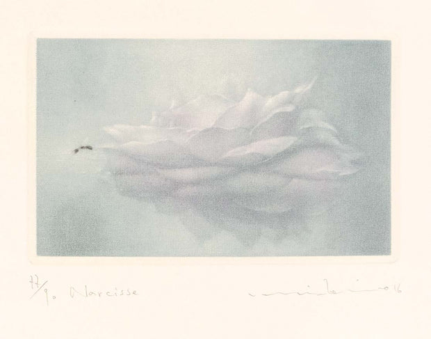 Narcisse by Mikio Watanabe - Davidson Galleries