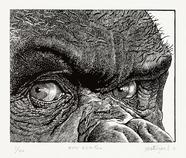 Eye See You by Jim Westergard - Davidson Galleries