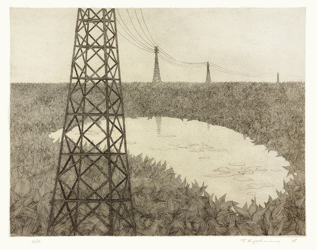 Swamp #1 (Power Lines) by Ryohei Tanaka - Davidson Galleries
