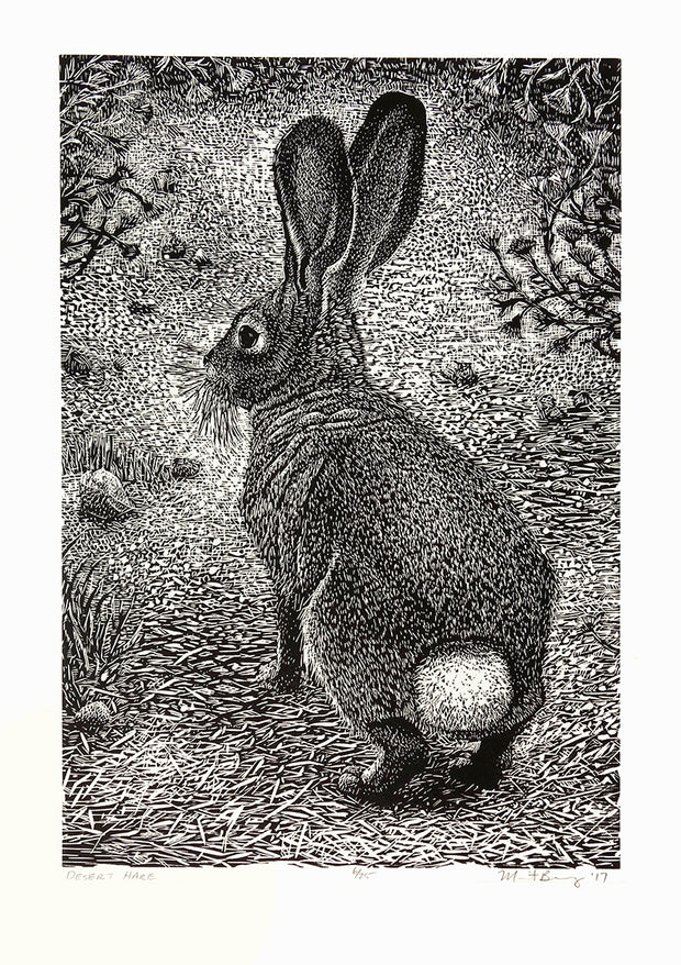 Desert Hare by Marit Berg - Davidson Galleries