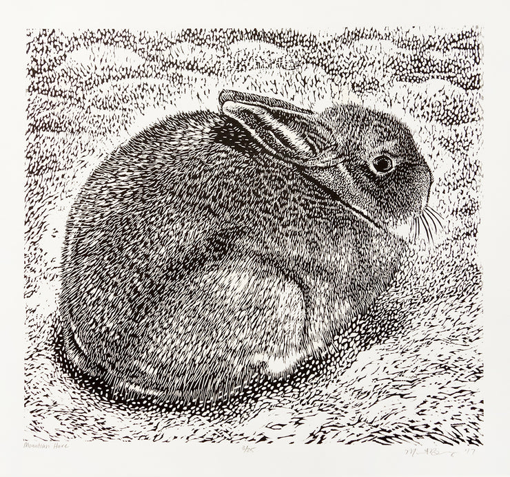 Mountain Hare by Marit Berg - Davidson Galleries