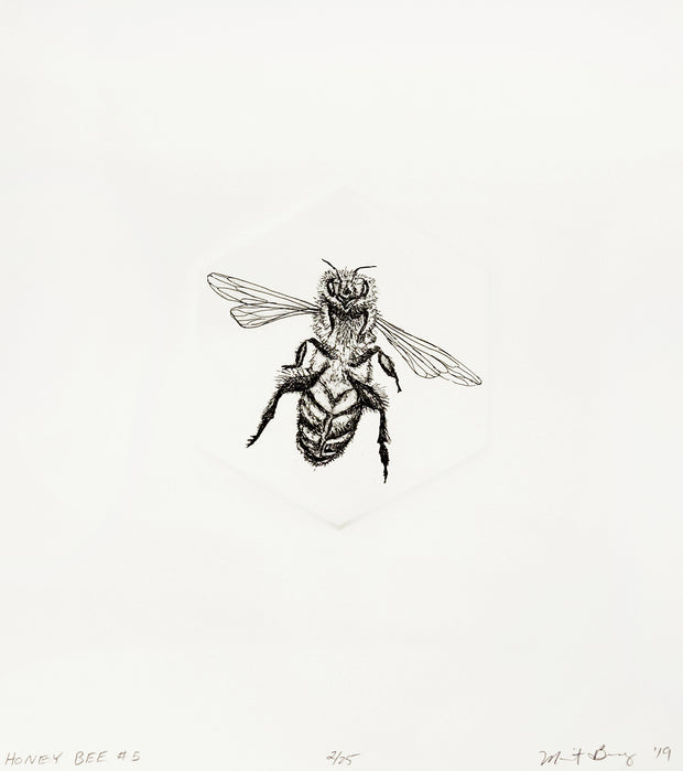 Honey Bee #5 by Marit Berg - Davidson Galleries