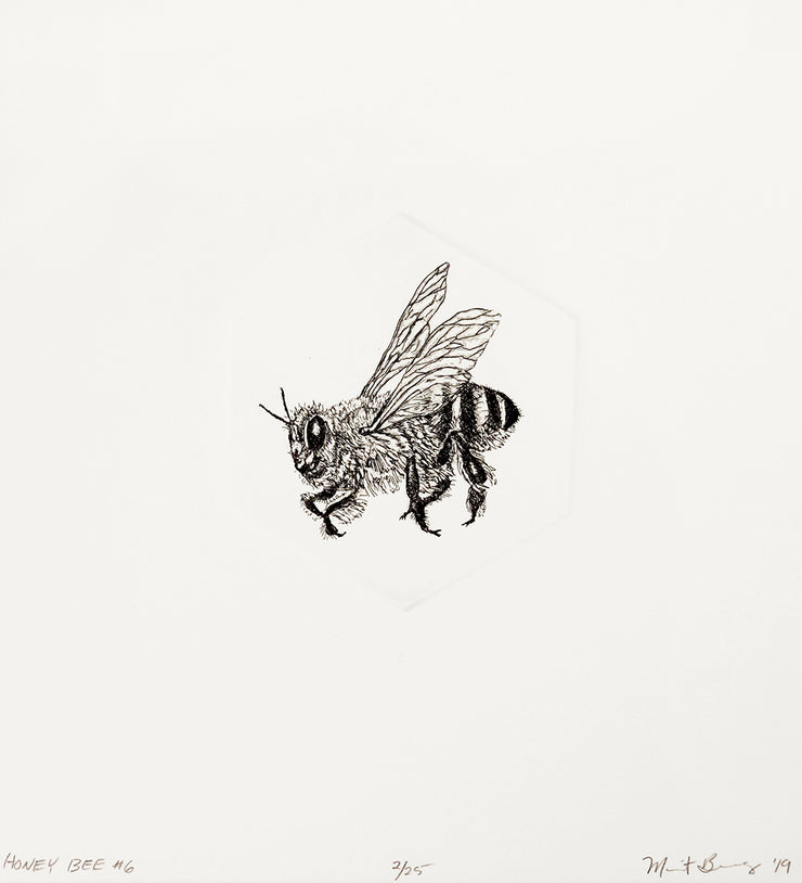 Honey Bee #6 by Marit Berg - Davidson Galleries