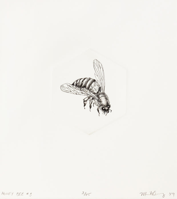 Honey Bee #3 by Marit Berg - Davidson Galleries