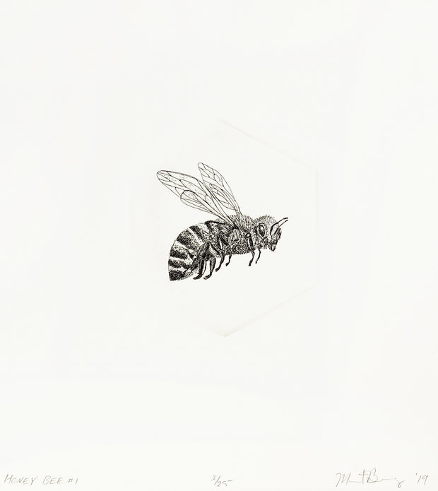 Honey Bee #1 by Marit Berg - Davidson Galleries