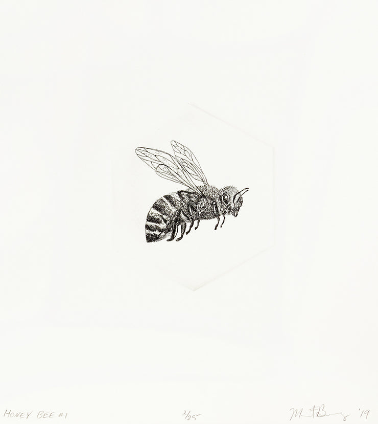 Honey Bee #1 by Marit Berg - Davidson Galleries
