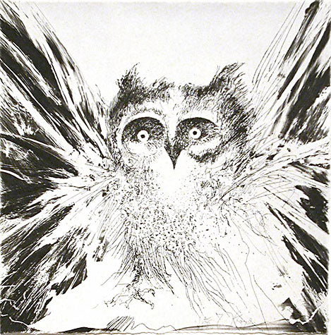 Flappy Owl by Frank Boyden - Davidson Galleries
