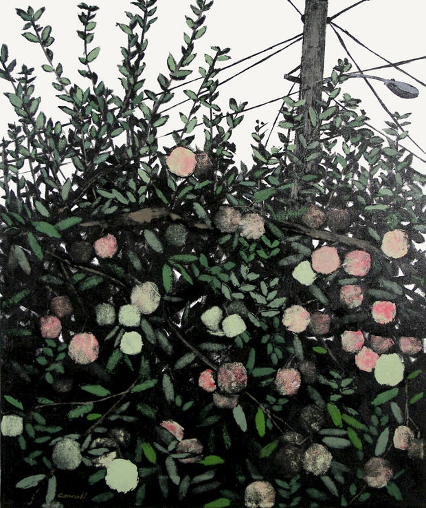 Backyard Apple Tree by Robert Connell - Davidson Galleries