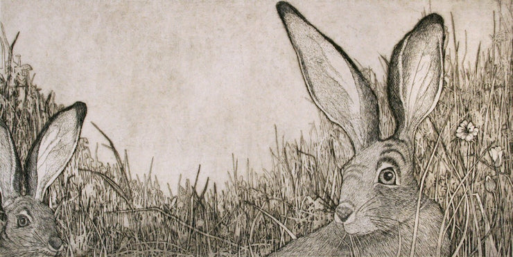 Black Tailed Jack Rabbits by Tallmadge Doyle - Davidson Galleries