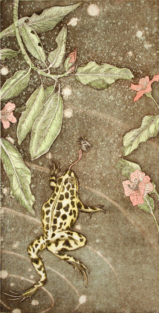 Cascade Spotted Frog with Wild Rhododendron by Tallmadge Doyle - Davidson Galleries