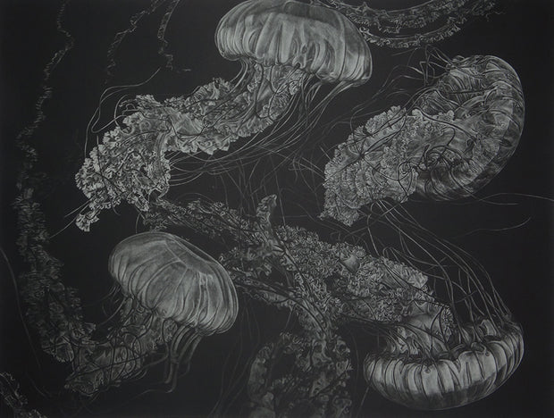 Jellyfish by Trevor Foster - Davidson Galleries