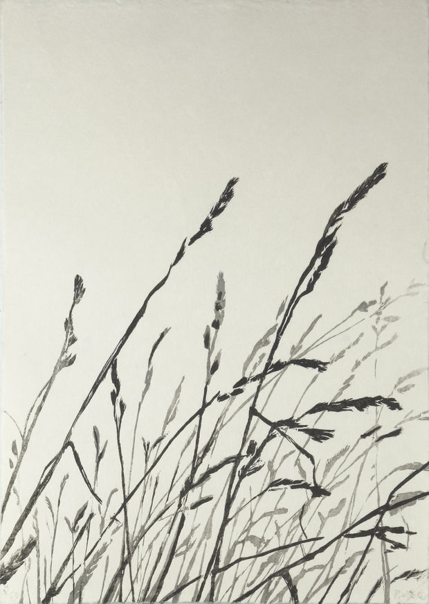 Grasses by Eva Pietzcker - Davidson Galleries
