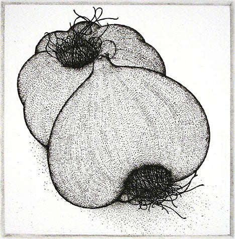 Two Garlic 1984 by Art Hansen - Davidson Galleries