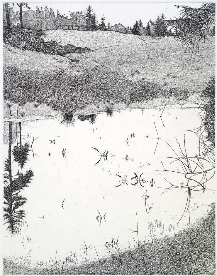 The Pond - May 1977 by Art Hansen - Davidson Galleries