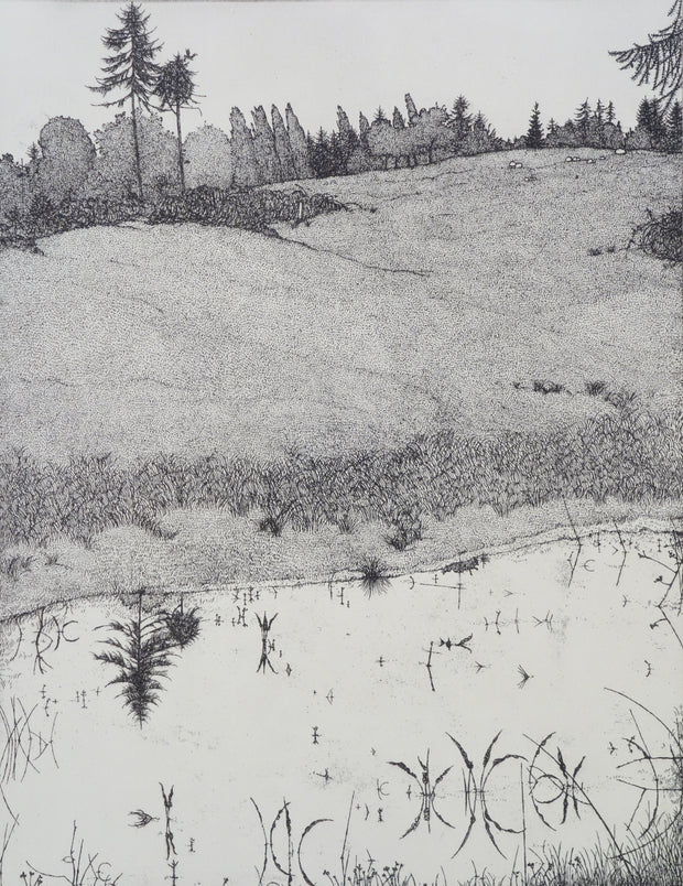 Pond and Pasture - May 1977 by Art Hansen - Davidson Galleries