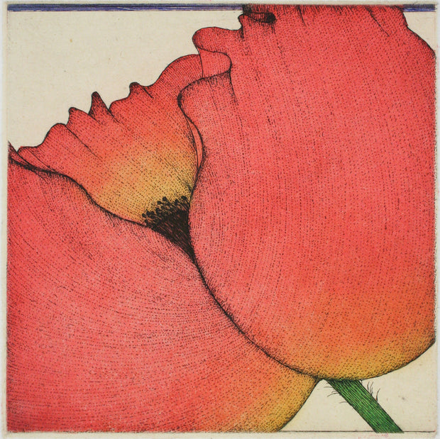Poppy by Art Hansen - Davidson Galleries
