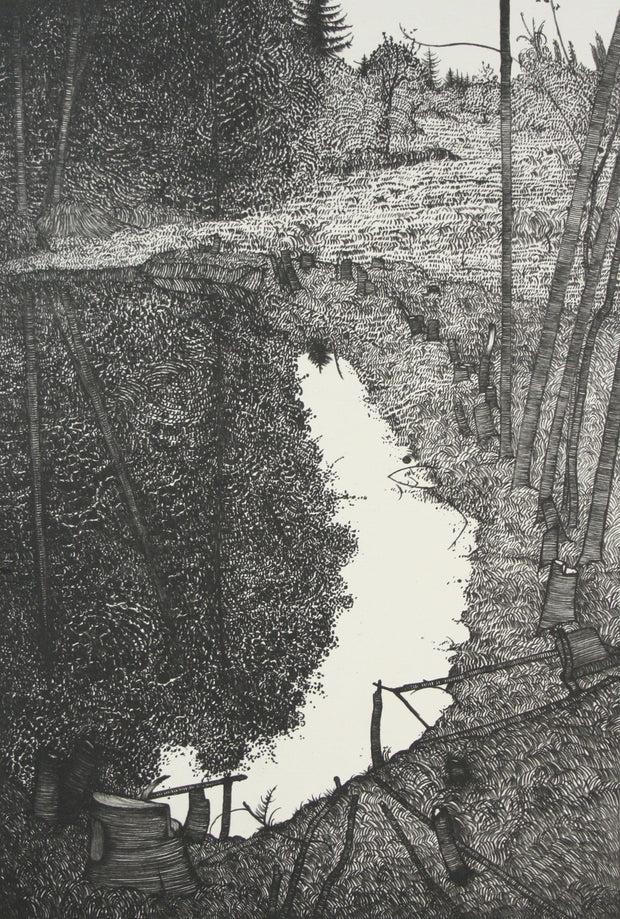 The Pond - Sept. 1980 #I by Art Hansen - Davidson Galleries