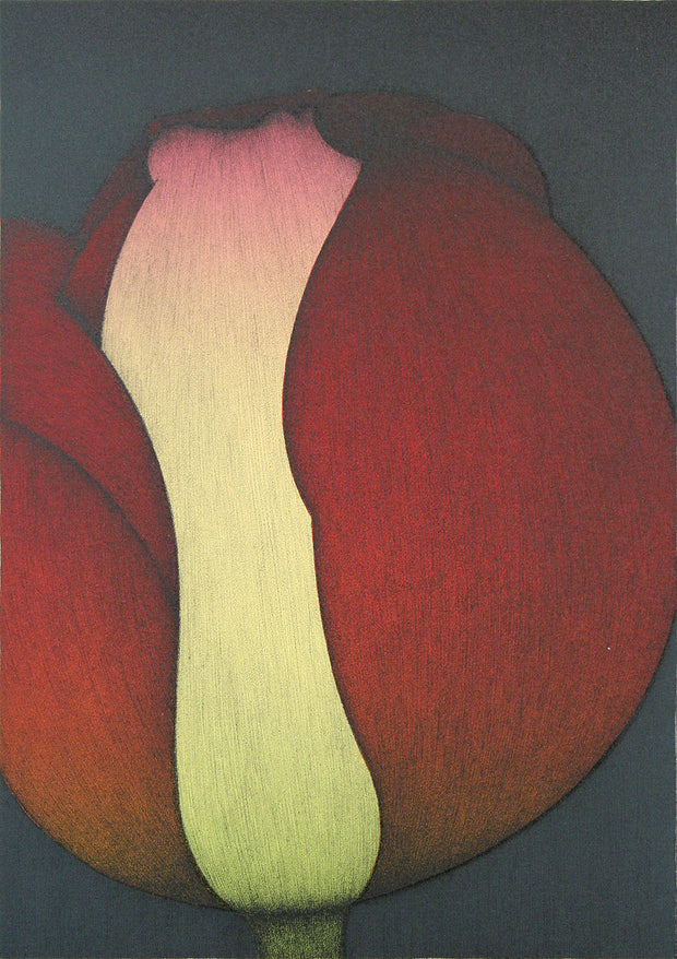 Tulip by Art Hansen - Davidson Galleries