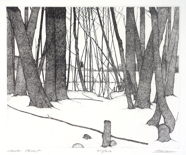 Winter Forest by Art Hansen - Davidson Galleries
