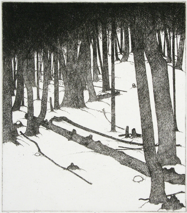 Forest - July 1977 by Art Hansen - Davidson Galleries