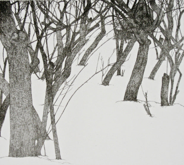 Orchard - Winter by Art Hansen - Davidson Galleries