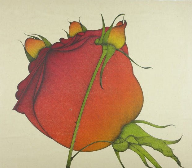 Roses 1982 by Art Hansen - Davidson Galleries