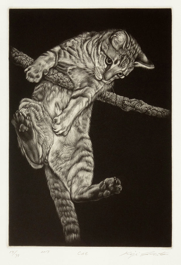Cat by Koji Ikuta - Davidson Galleries