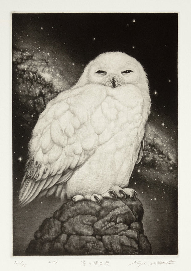 Starry Night  (星の降る夜) by Koji Ikuta - Davidson Galleries