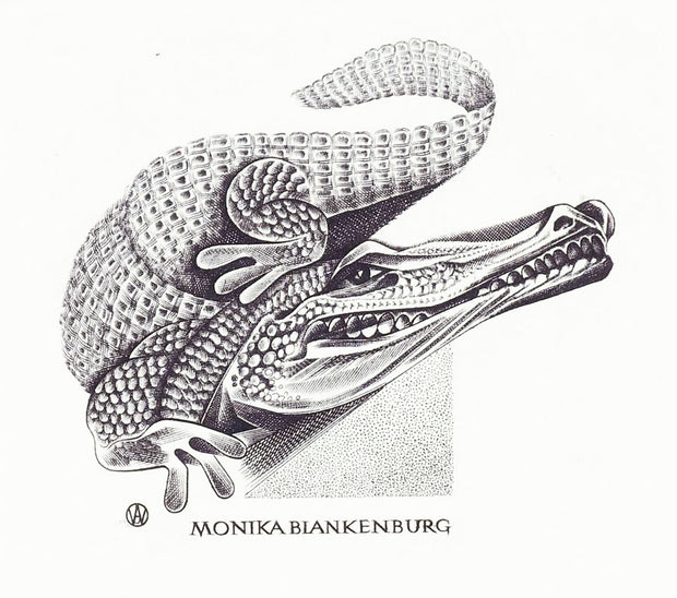 Coccodrillo for Monika Blankenburg by Wojciech Jakubowsky - Davidson Galleries