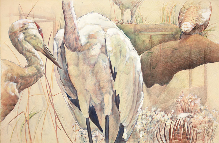One White Crane by Peggy MacNamara - Davidson Galleries