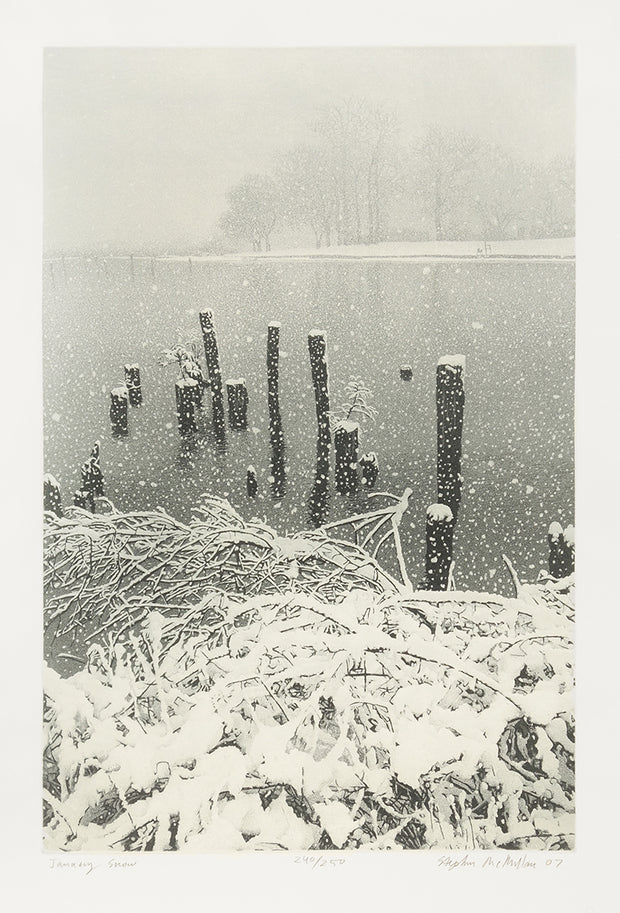 January Snow by Stephen McMillan - Davidson Galleries