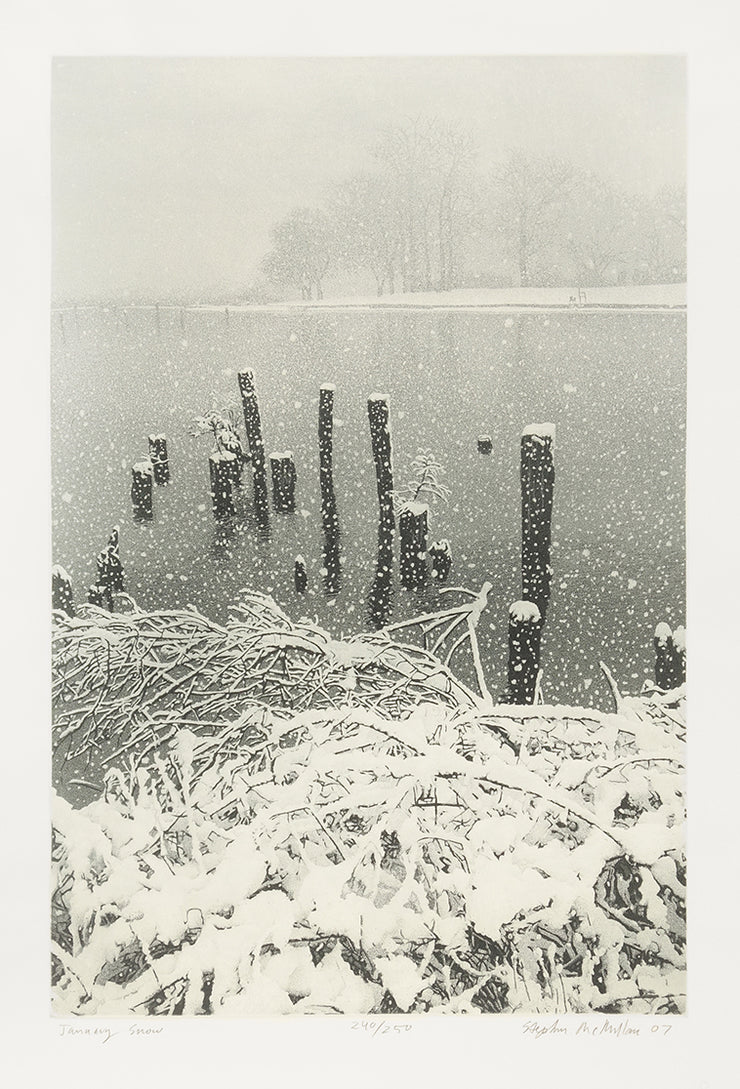 January Snow by Stephen McMillan - Davidson Galleries