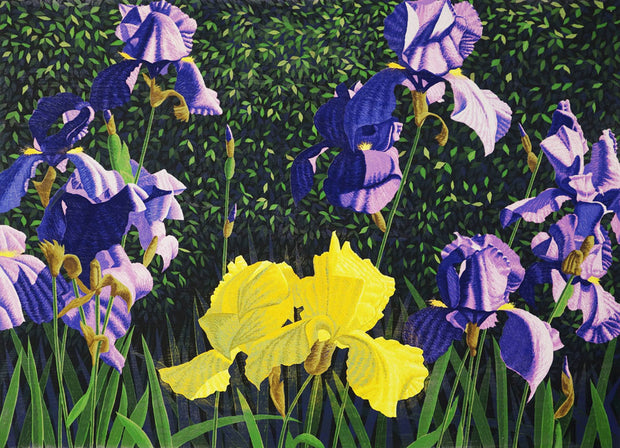 Bearded Iris by Gordon Mortensen - Davidson Galleries