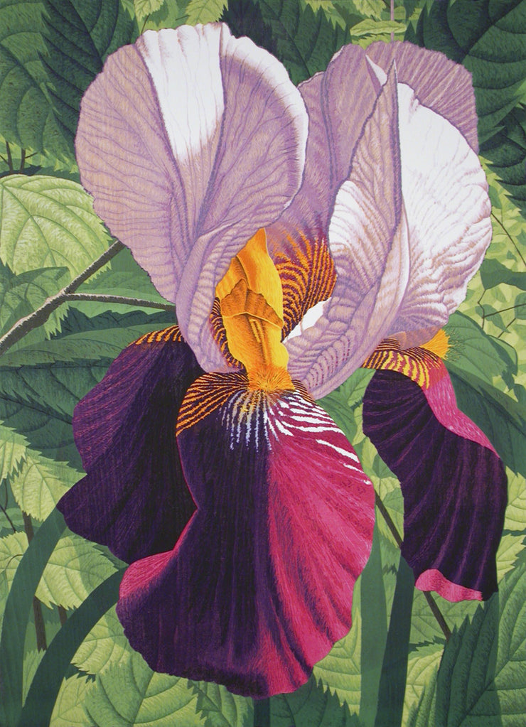 Double Iris by Gordon Mortensen - Davidson Galleries