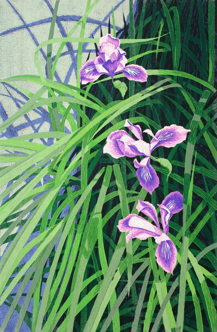 Wild Iris by Gordon Mortensen - Davidson Galleries