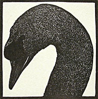 Swan from Bestiaire D'Amour by Barry Moser - Davidson Galleries