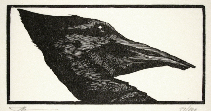 Woodpecker from Bestiaire D'Amour by Barry Moser - Davidson Galleries