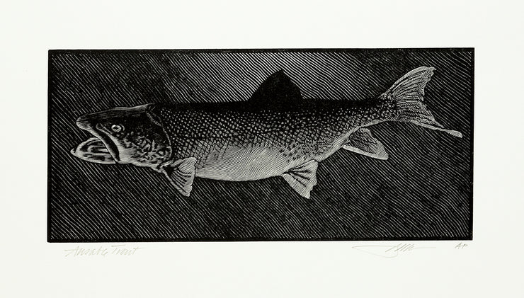 Ausable Trout by Barry Moser - Davidson Galleries