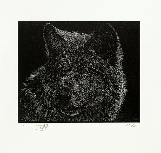 Blind Wolf by Barry Moser - Davidson Galleries