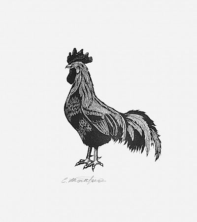 Rooster by Carl V. Montford - Davidson Galleries