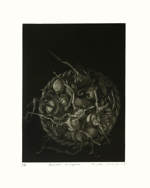 Échalotes et Oignons by Judith Rothchild - Davidson Galleries