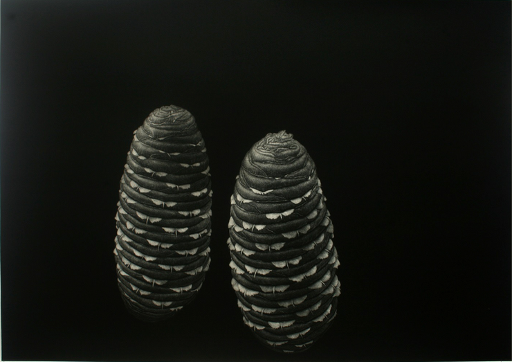 Pine Seed by Boonmee Sangkhum - Davidson Galleries