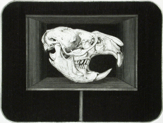 Rat Skull by Arne Bendik Sjur - Davidson Galleries