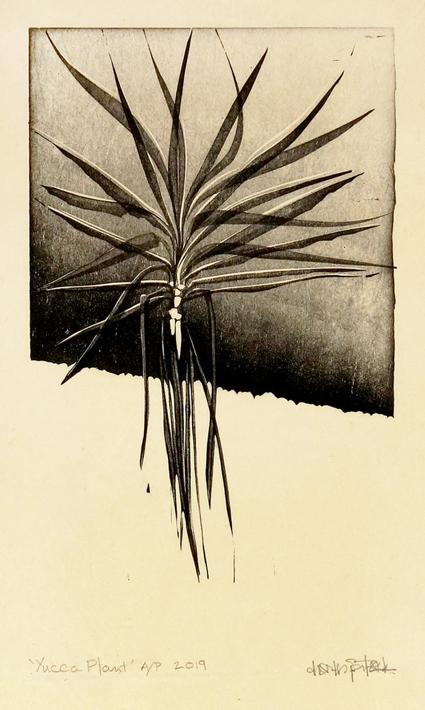 Yucca Plant by Charles Spitzack - Davidson Galleries
