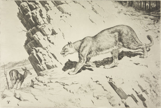 Mountain Lion and Doe by Rodney Thomson - Davidson Galleries