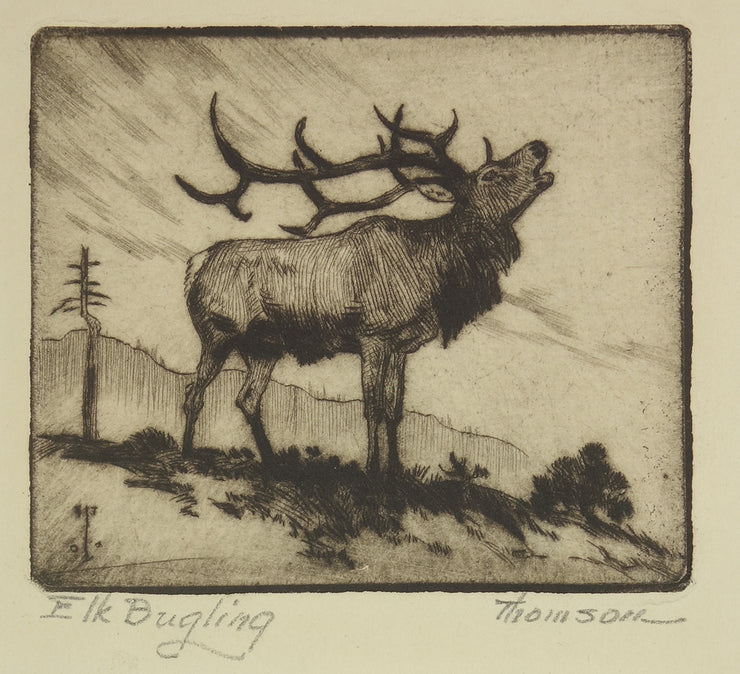 Elk Bugling by Rodney Thomson - Davidson Galleries
