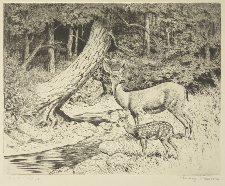 Doe and Fawn by Rodney Thomson - Davidson Galleries