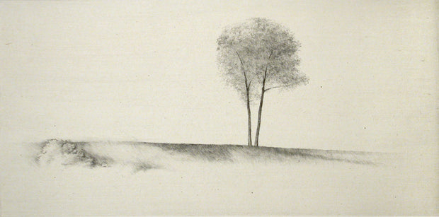 A Wind by Shigeki Tomura - Davidson Galleries