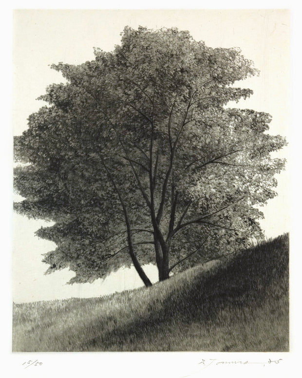 Shade of a Tree by Shigeki Tomura - Davidson Galleries